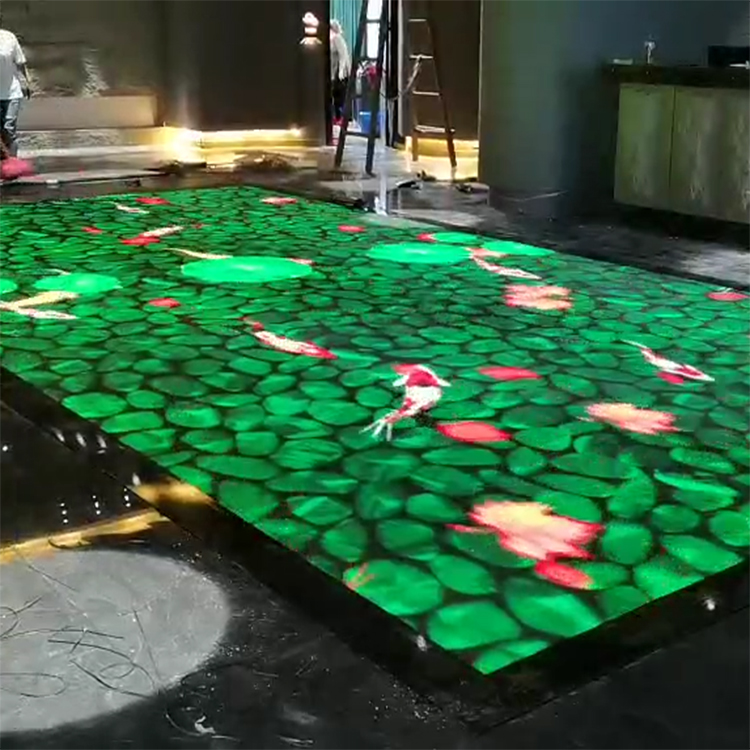 Step on Fish Interactive LED Ground Disp