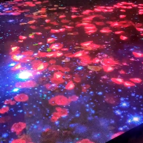 Step on the flower blooming LED interact